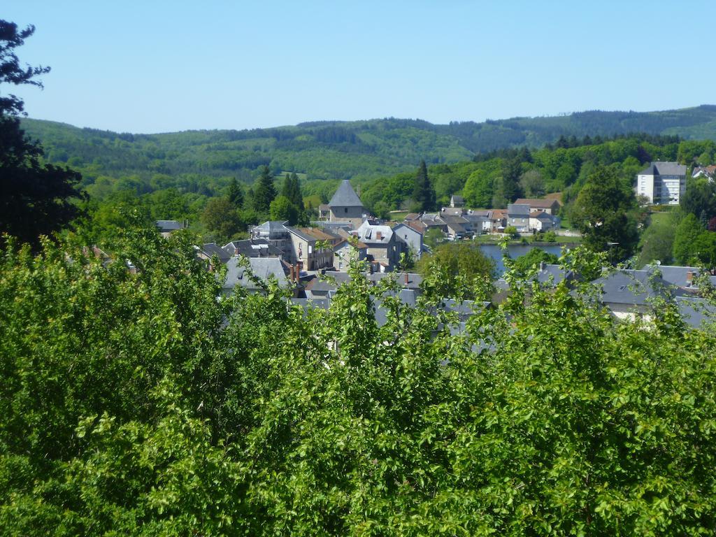 La Maison Du Marchand Bed & Breakfast Peyrat-le-Chateau Room photo