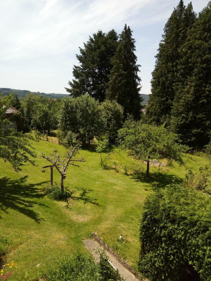 La Maison Du Marchand Bed & Breakfast Peyrat-le-Chateau Exterior photo